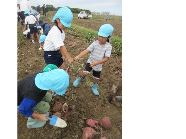幼児がサツマイモを持っている様子