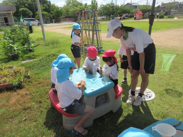 幼児と中学生が一緒に色水遊びをしている様子
