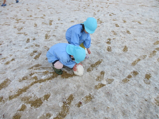 幼児が雪だるまを作ろとしている様子