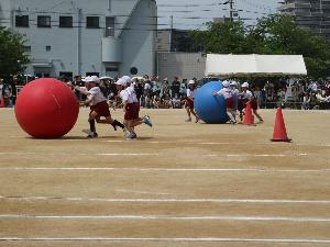 3年生大玉転がし