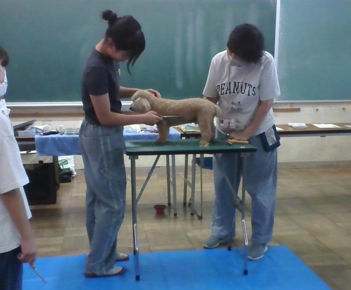 様子４