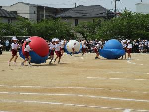 3年生大玉運び