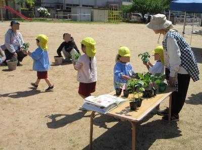 苗を取りに来ている様子です。
