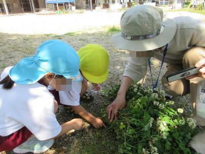 ダンゴムシを探している様子です。
