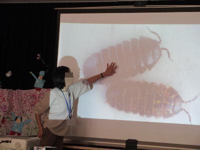 ダンゴムシを拡大してみている様子です。