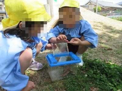 虫探しの様子です