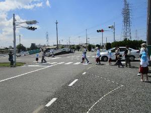 親子で横断歩道を渡っています