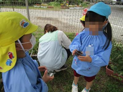 見付けたダンゴムシを友達と一緒に観察している様子です。