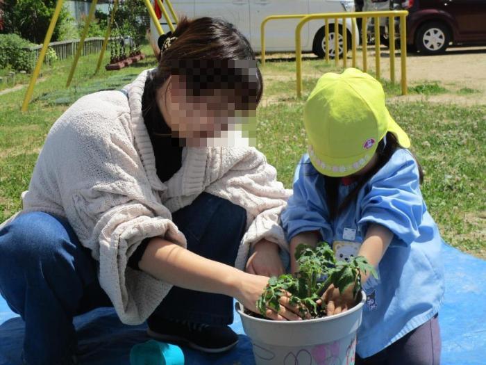 親子でトマトを植えている様子です。
