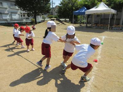 年長児、年少児合同で綱取りをする様子です。