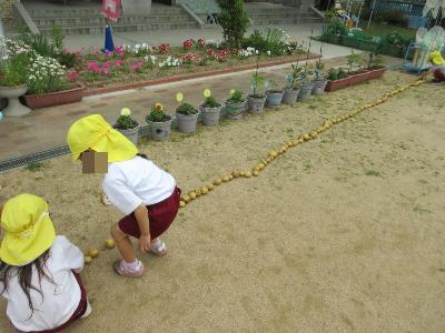 じゃがいもを数えている様子です