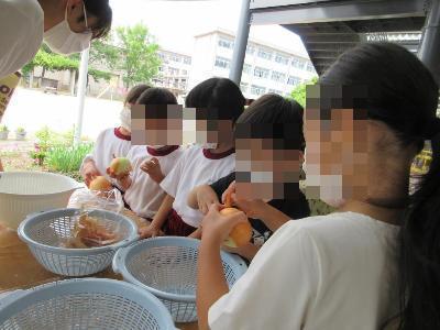 玉ねぎの皮をむく様子です。