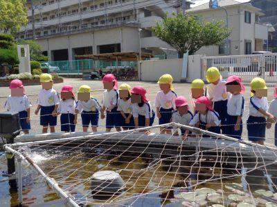 春の遠足