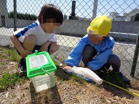 5月好きな遊び