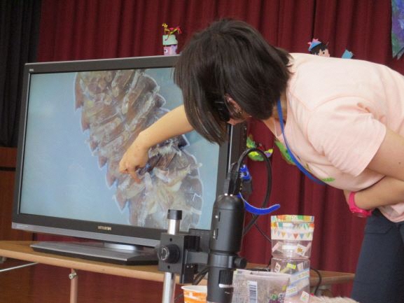エコロコ自然体験