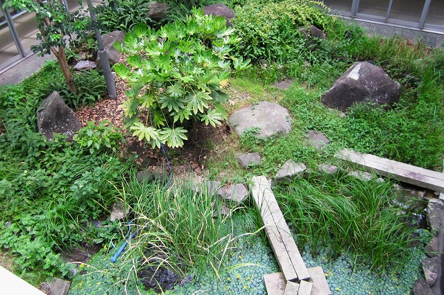 2012年ビオトープ上からの風景