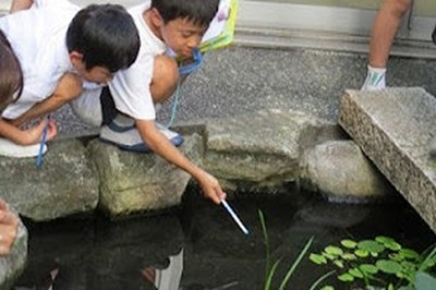 ビオトープ調査