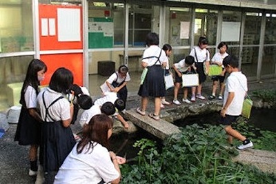 ビオトープ調査