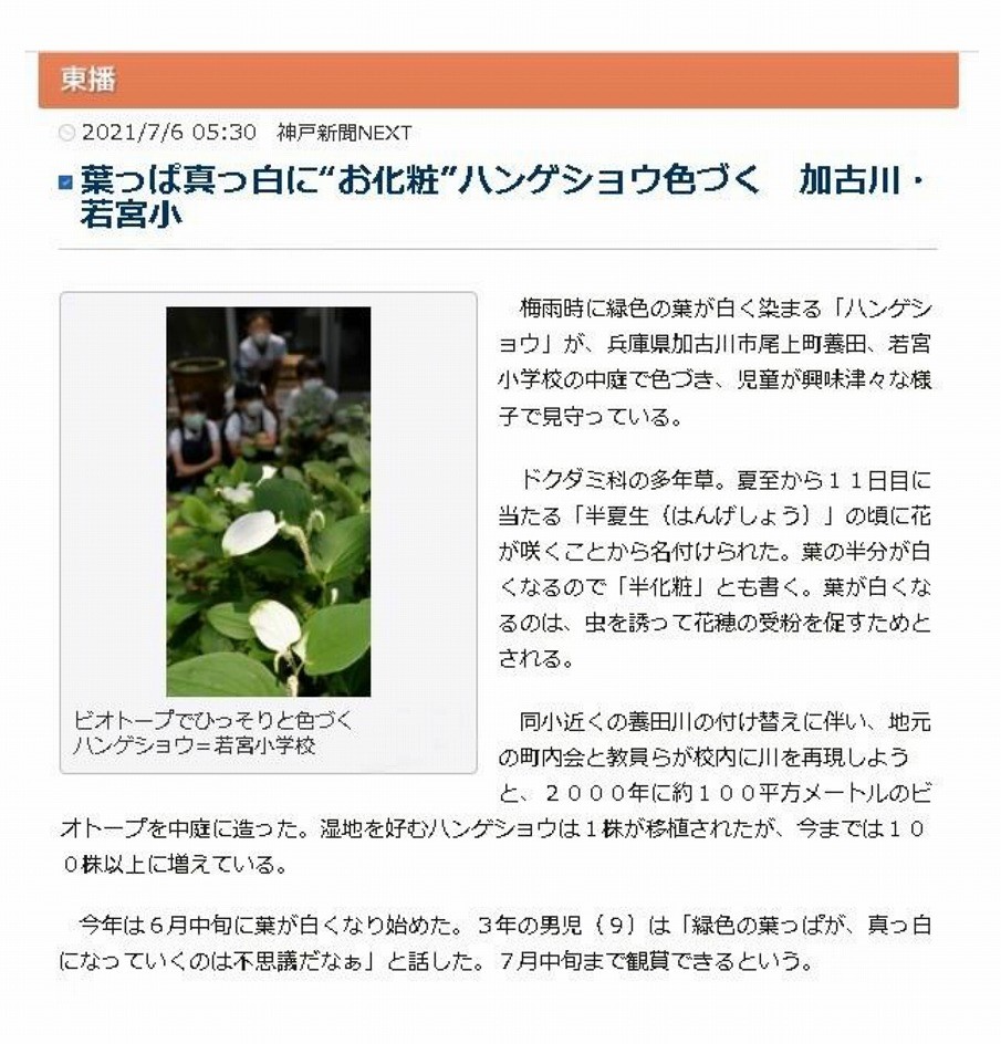 新聞記事