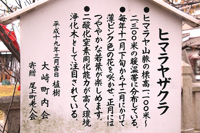 説明板
