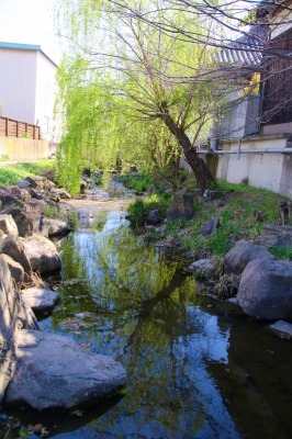 法音寺横の風情ある写真2