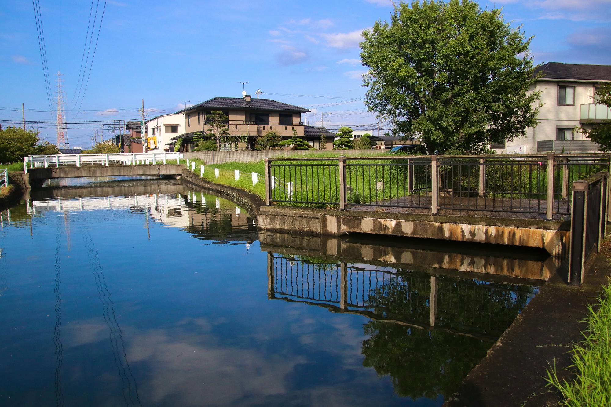 養田川と旧養田川の合流地点