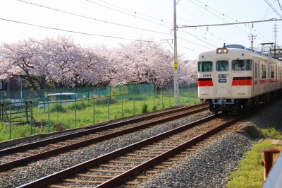 山陽電車の横を走っていた