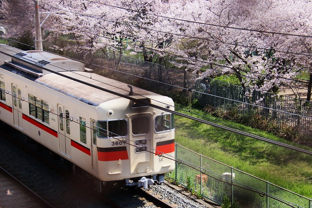 山陽電車の横
