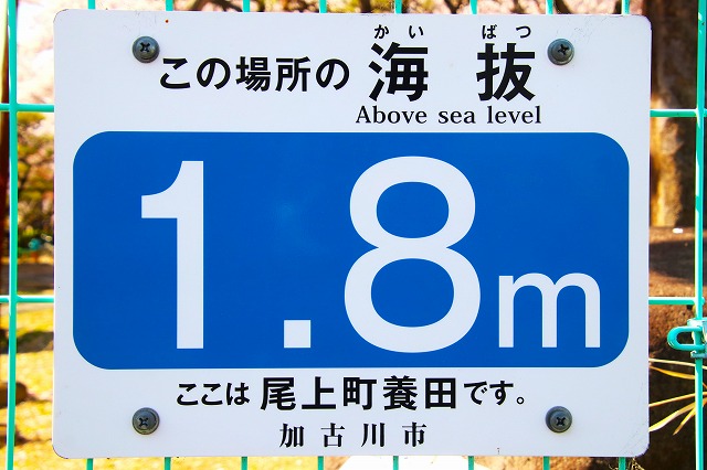 海抜1.8m