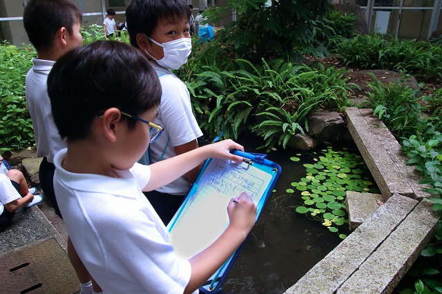 学習のようす