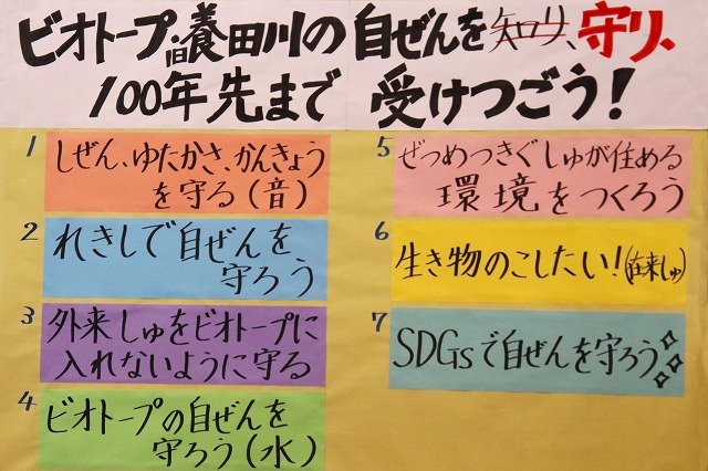 発表内容