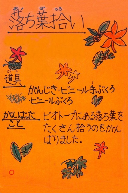 落ち葉拾い