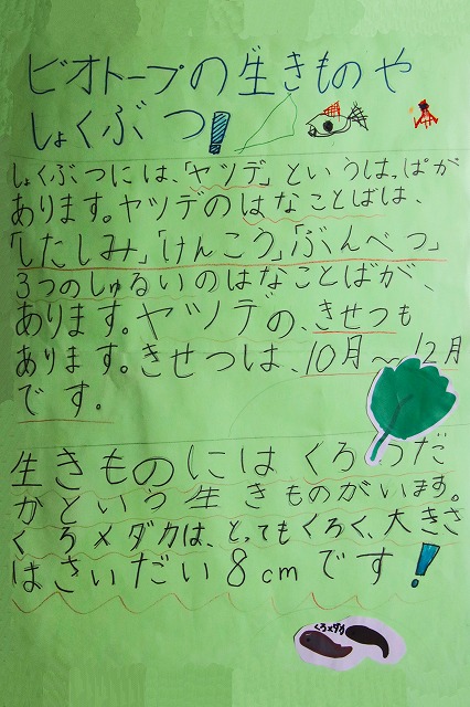生き物や植物