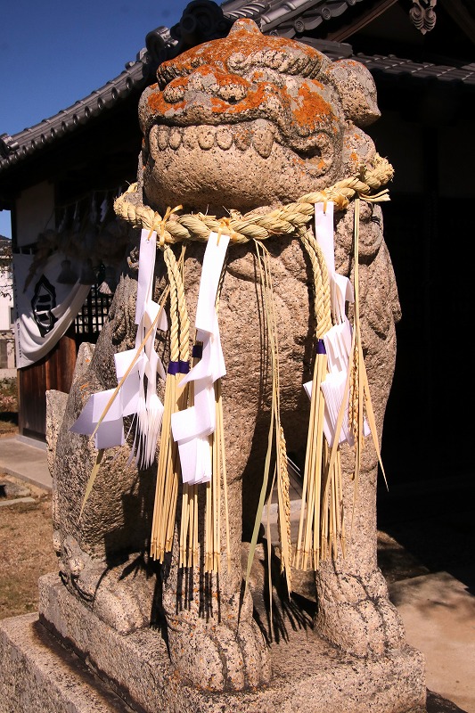 秋祭り狛犬