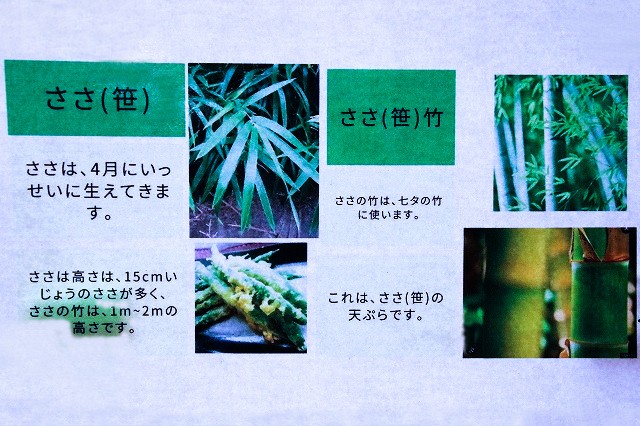 ササについて調べたこと