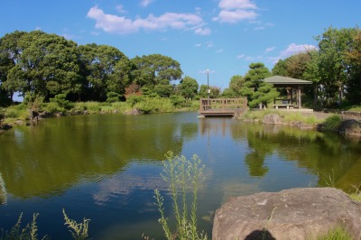 松風公園の池