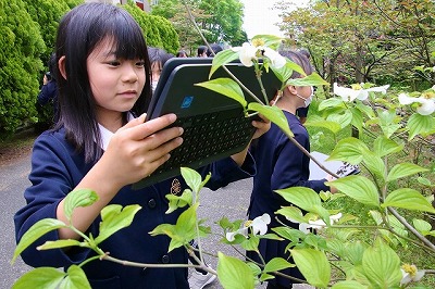 写真を撮っているようす