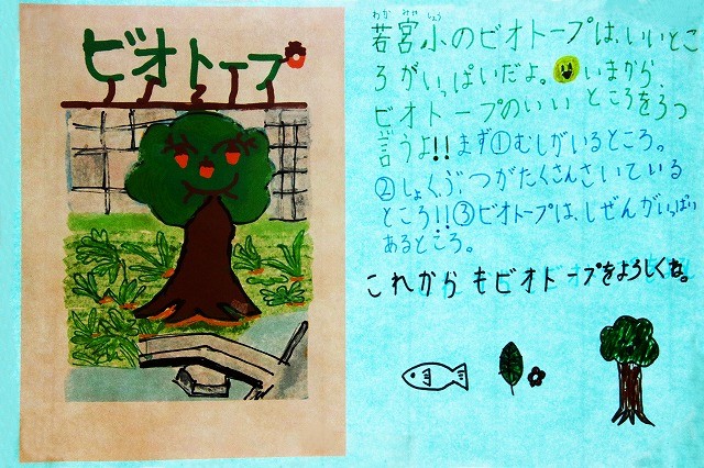 ビオトープの良いところ