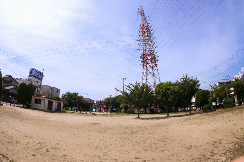 広い遊び場