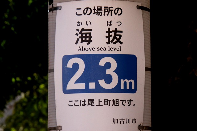 海抜2.3m