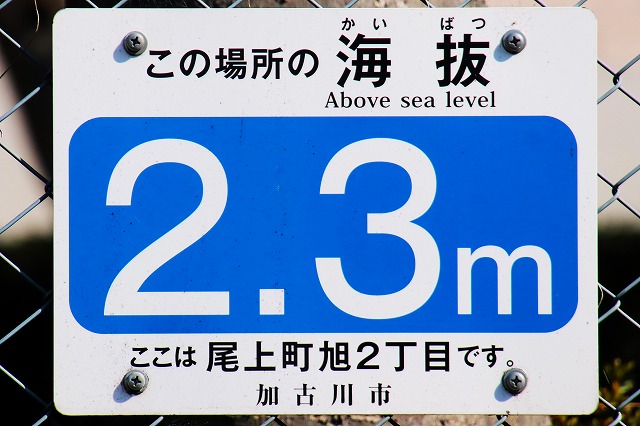 海抜2.3m