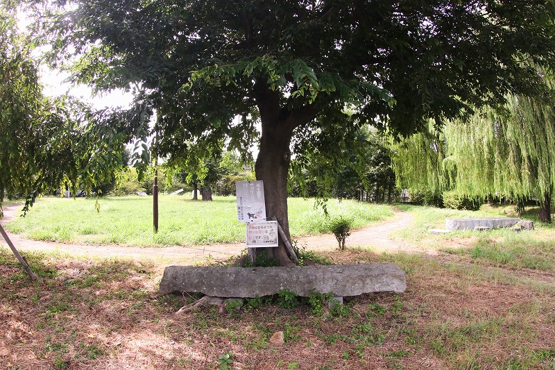 緑あふれる養田穴田公園