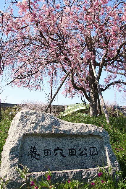 養田穴田公園の名札