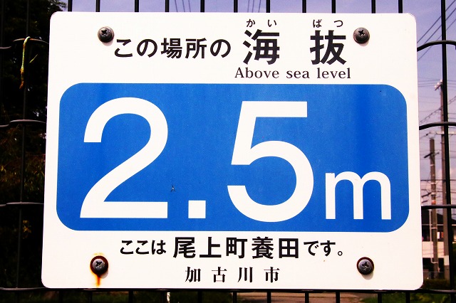 海抜2.5m