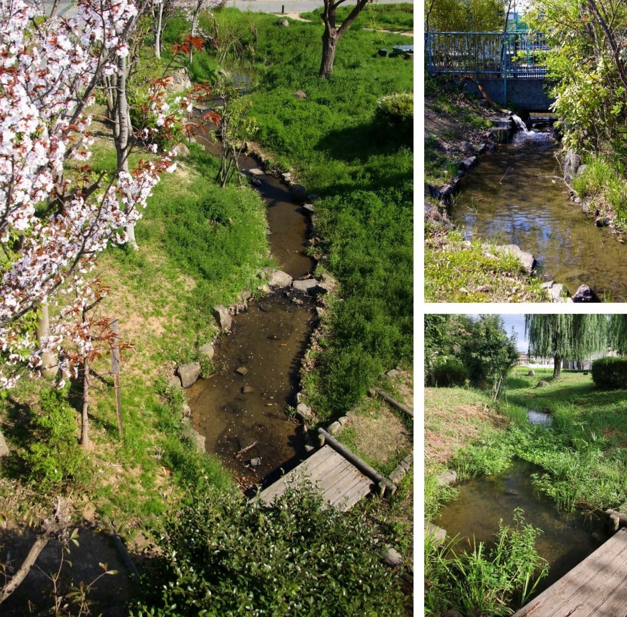 養田穴田公園を流れる旧養田川