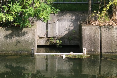 養田川側の取水口