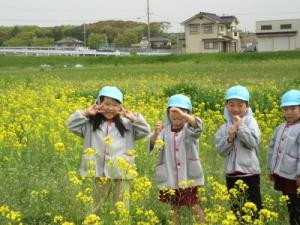 菜の花