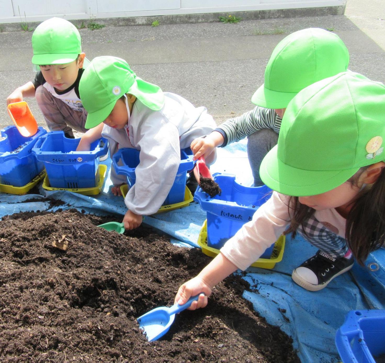 わかば組も土を入れるところからね
