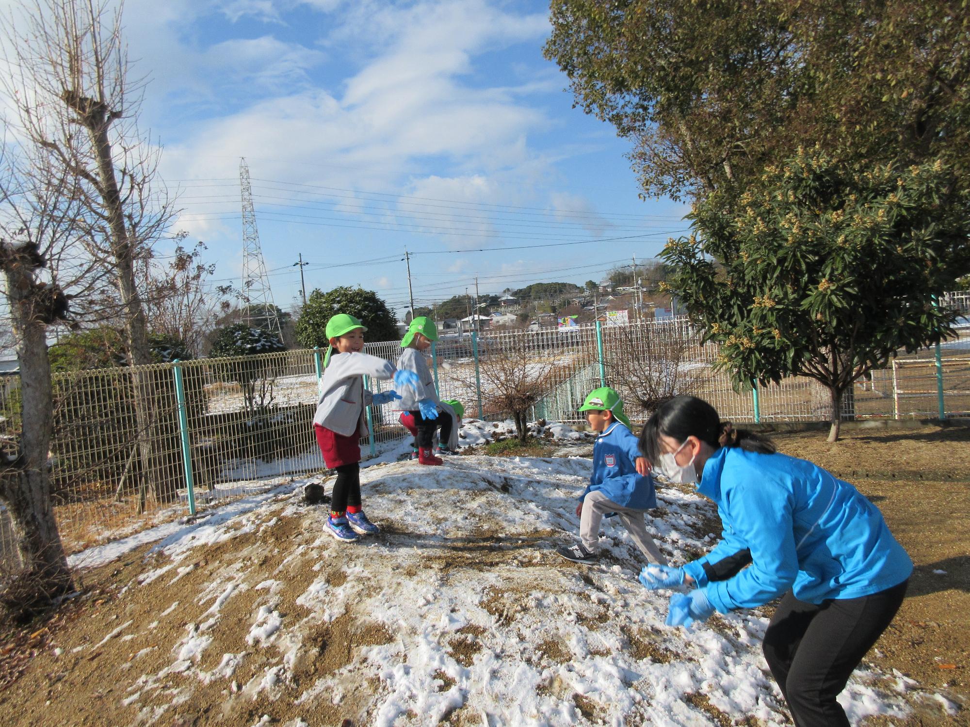 雪　わかば