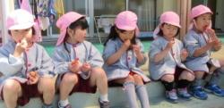平成31年度1学期やまて幼稚園の園児が収穫したイチゴを食べている時の写真